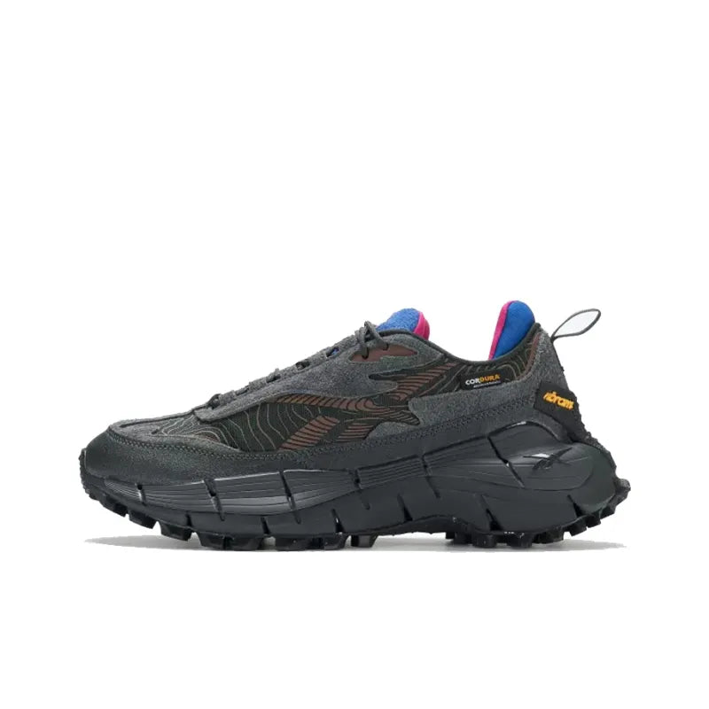 Reebok Zig Kinetica 2.5 'Pure Grey Vector Blue'