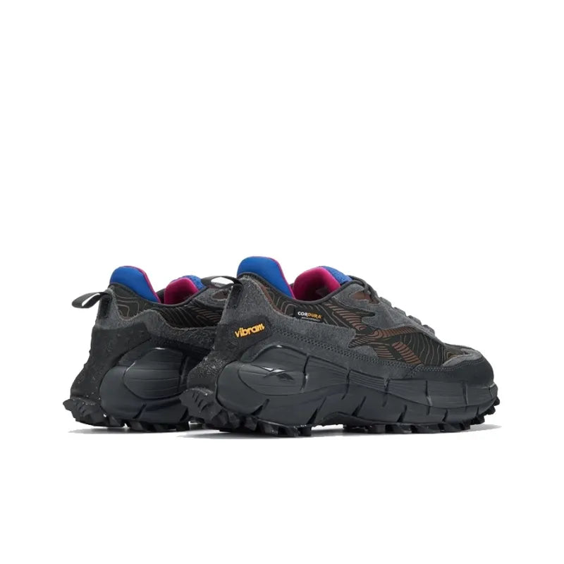 Reebok Zig Kinetica 2.5 'Pure Grey Vector Blue'